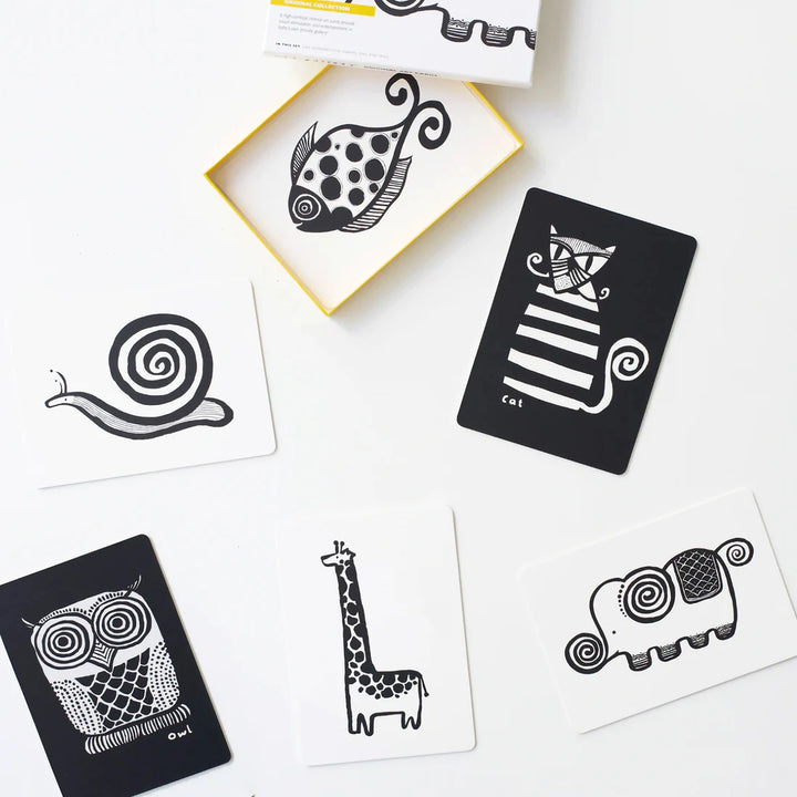 Double-Sided Baby Flashcards with Visual Stimulation