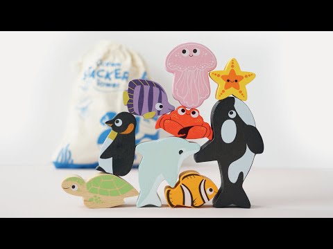 Video of Ocean Animal Toy - Animal Stacking & Bag